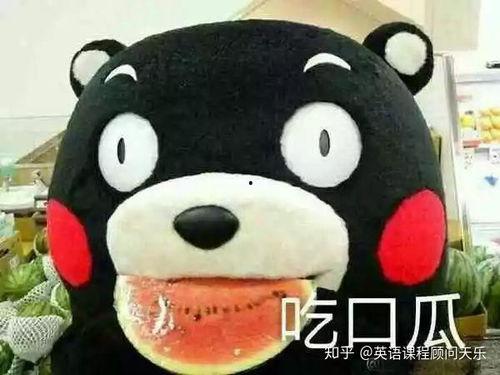 吃瓜群众英文热词的解释