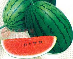 五一吃瓜网最新官方,揭秘五一假期热门事件，带你领略年度“瓜界”盛宴