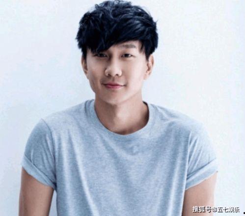 吃瓜娱乐圈林俊杰